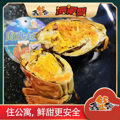 [Xin Crab Club] Cua lông (cua lông nước biển)