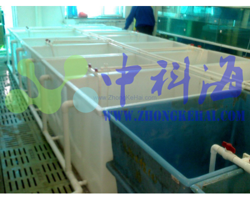 海洋研究所 水族楼 PP水槽