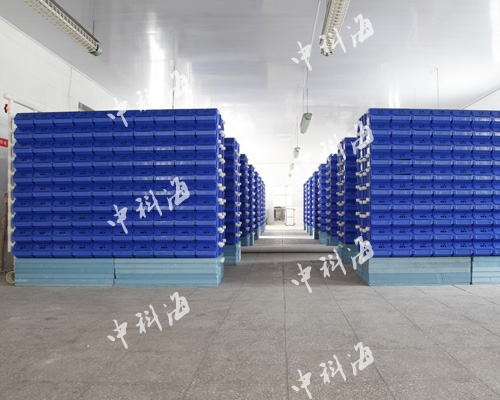 山东·青岛 蟹公寓客户
