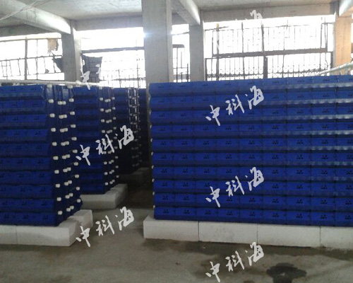 福建·宁德 蟹公寓客户
