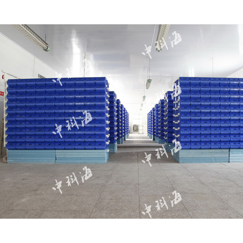山东·青岛 蟹公寓客户